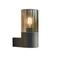 EGLO Cropani Wandlamp Buiten - E27 - 19.5 cm - Zwart/Grijs/Transparant