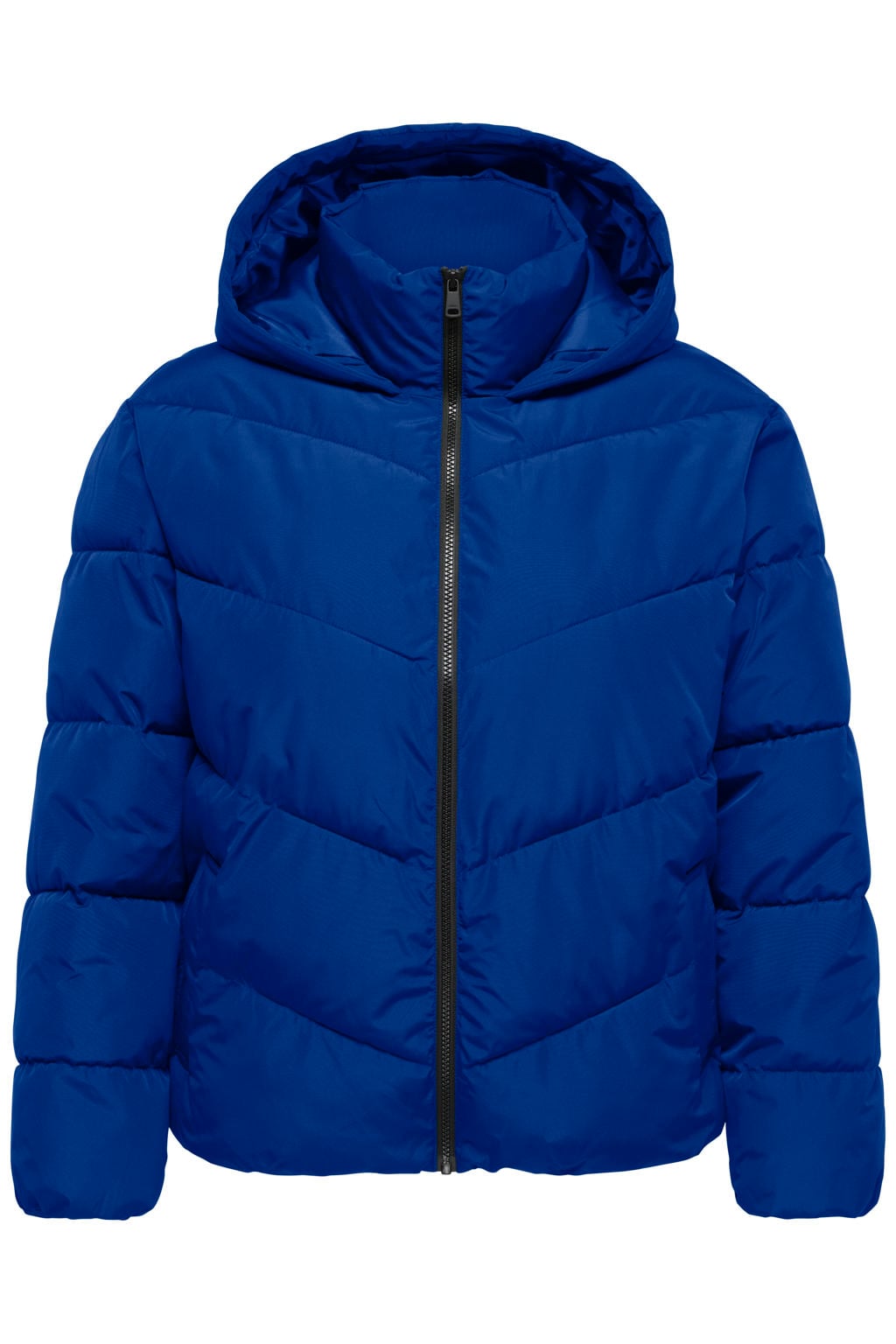 ONLY CARMAKOMA Plus Size winterjas - blauw