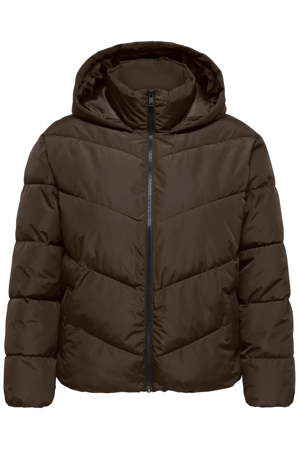 ONLY CARMAKOMA Plus Size gewatteerde winterjas - donkerbruin