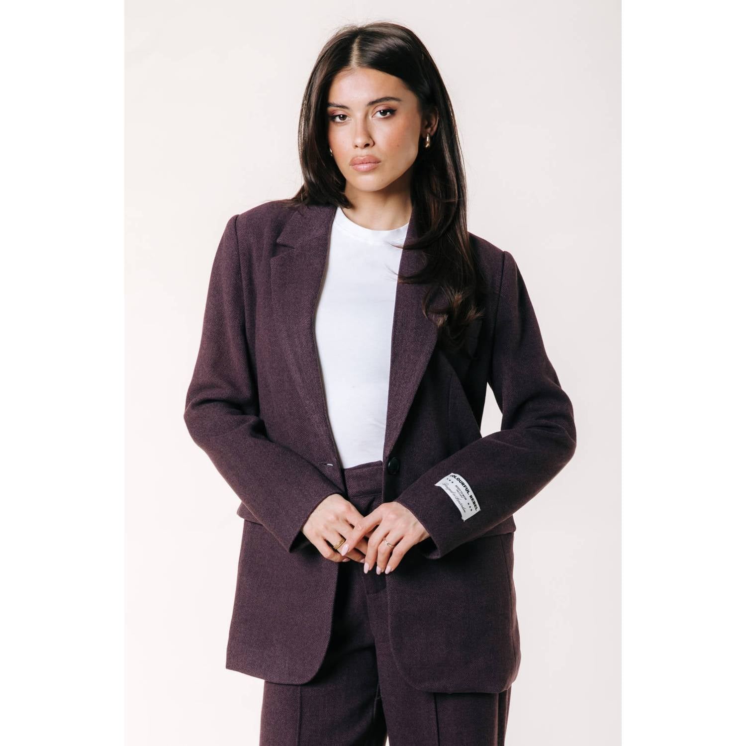 Colourful Rebel regular fit geruite blazer met borduursels en wol donkerpaars
