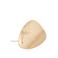 WE Fashion broche goudkleurig