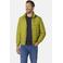 Babista jas Plus Size - groen