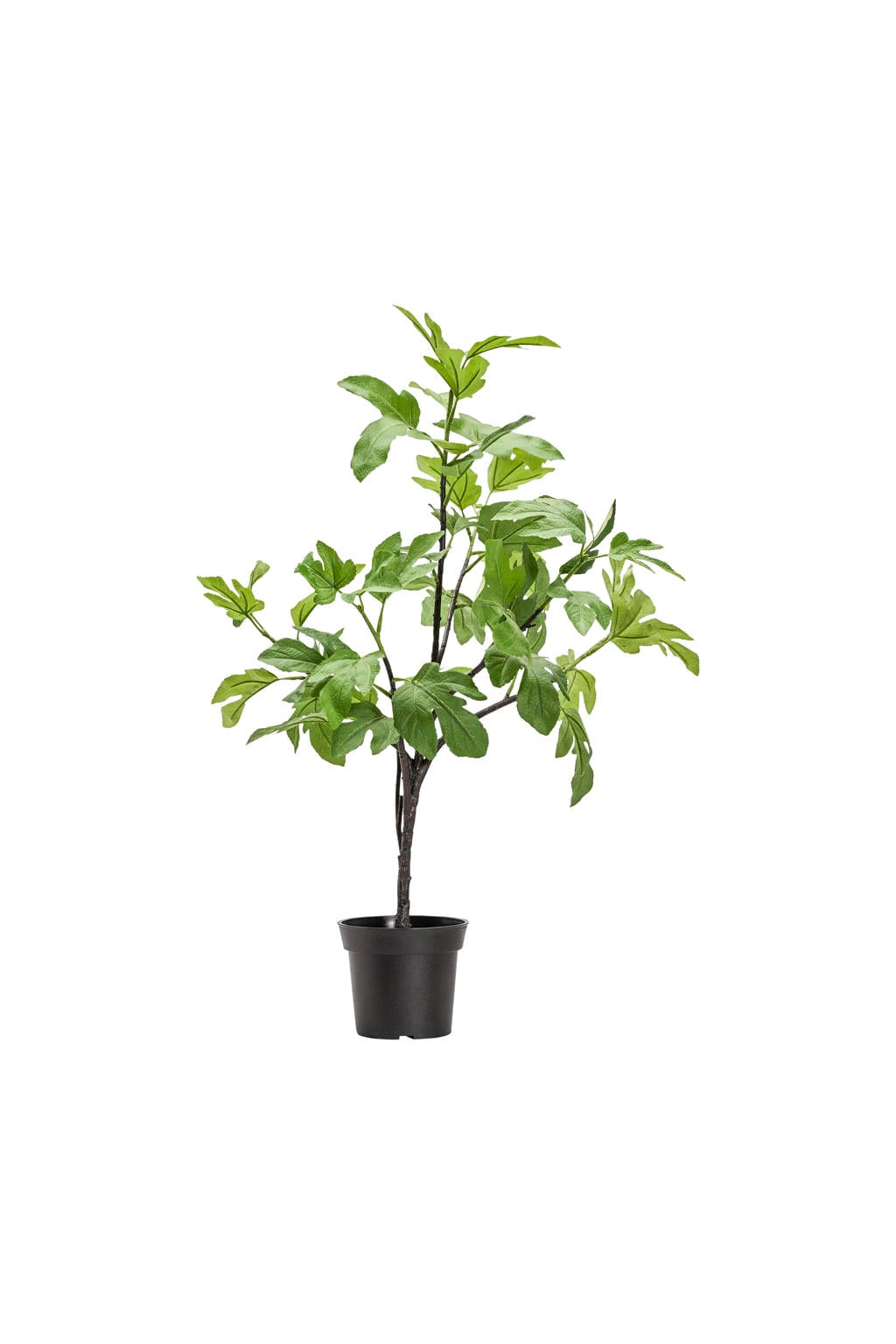 House Doctor kunstplant Fig