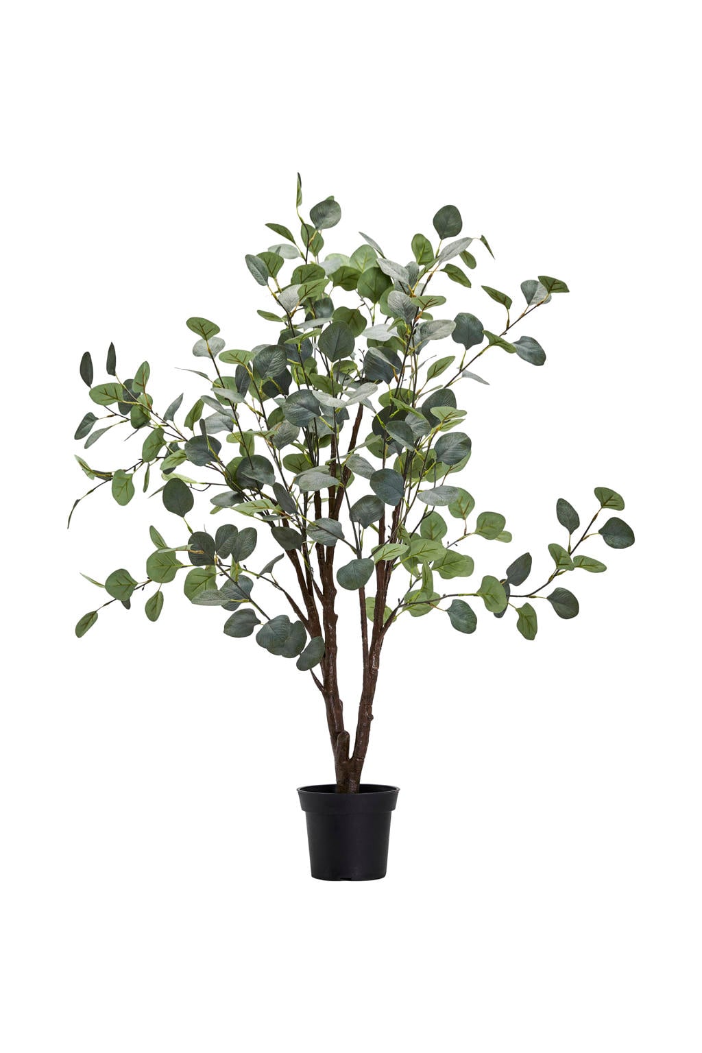 House Doctor kunstplant Eucalyptus