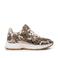 Floris van Bommel Daysi 07.00 leren sneakers bruin