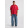 America Today relaxed fit T-shirt met backprint - red port