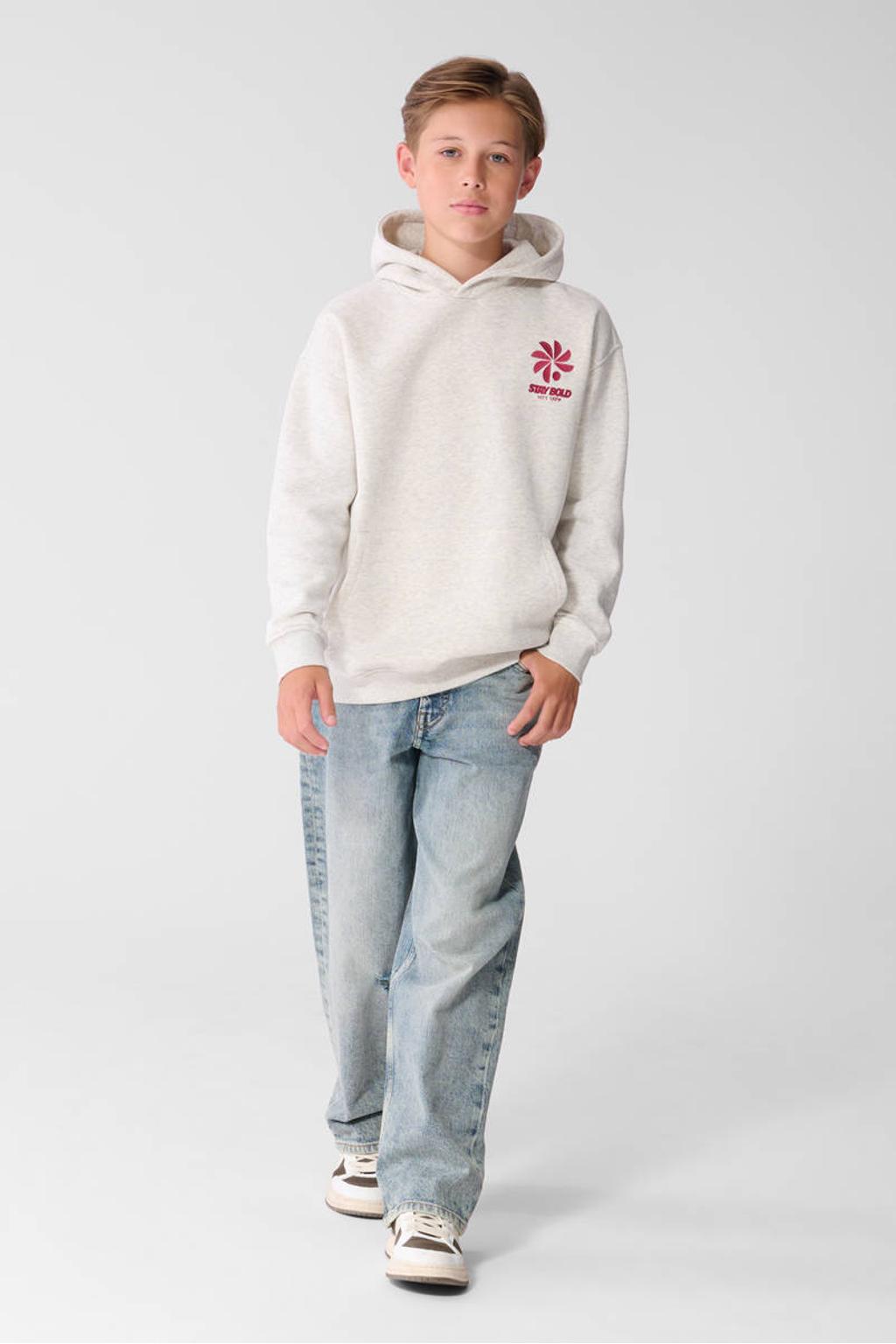 Lichtgrijze jongens Shoeby hoodie van katoen met backprint, lange mouwen en ronde hals