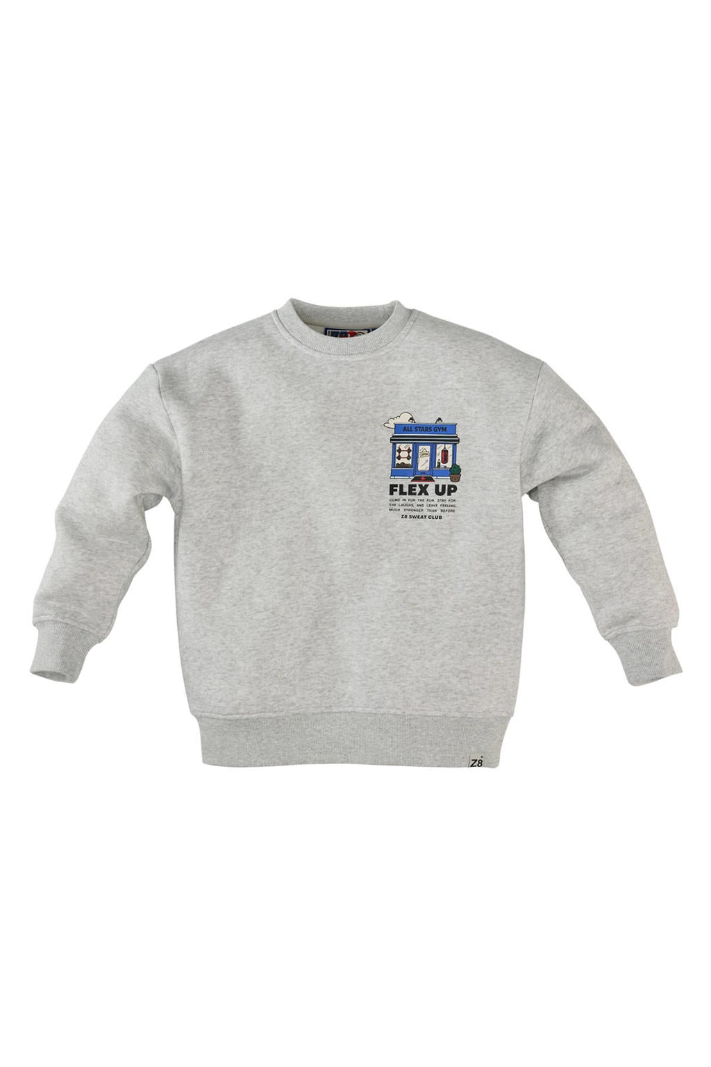 Grijze jongens Z8 kids sweater Antony met backprint, lange mouwen en ronde hals
