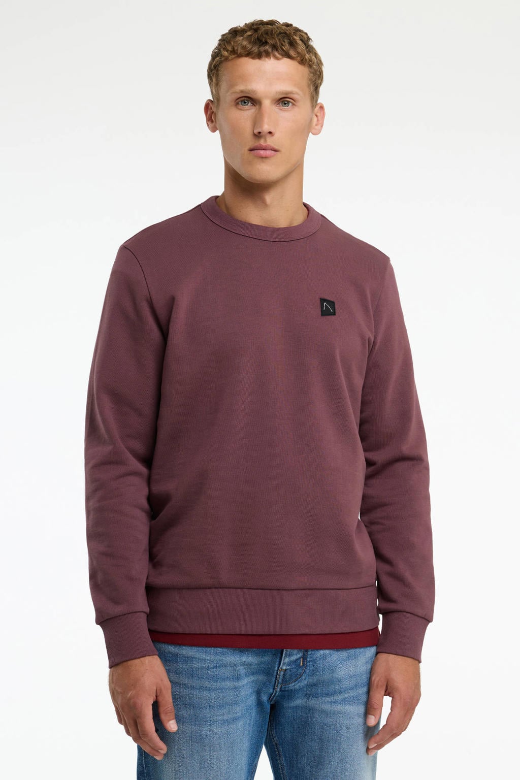 CHASIN' regular fit sweater - huckleberry