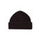 America Today muts bruin