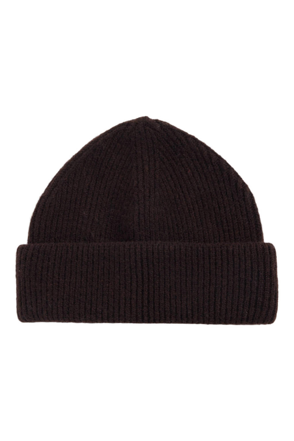 America Today muts bruin