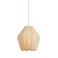 Light & Living Hanglamp (Ø34x36 cm) TAMBISAN