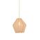 Light & Living Hanglamp (Ø34x36 cm) TAMBISAN