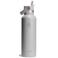 Hydro Flask drinkfles Standard Mouth met rietjesdop (621 ml) RVS