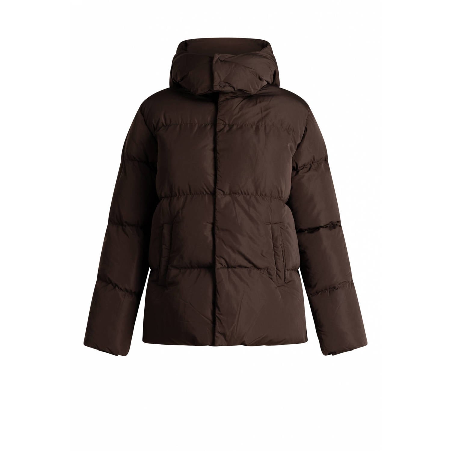 Yest Curve Plus Size winterjas bruin