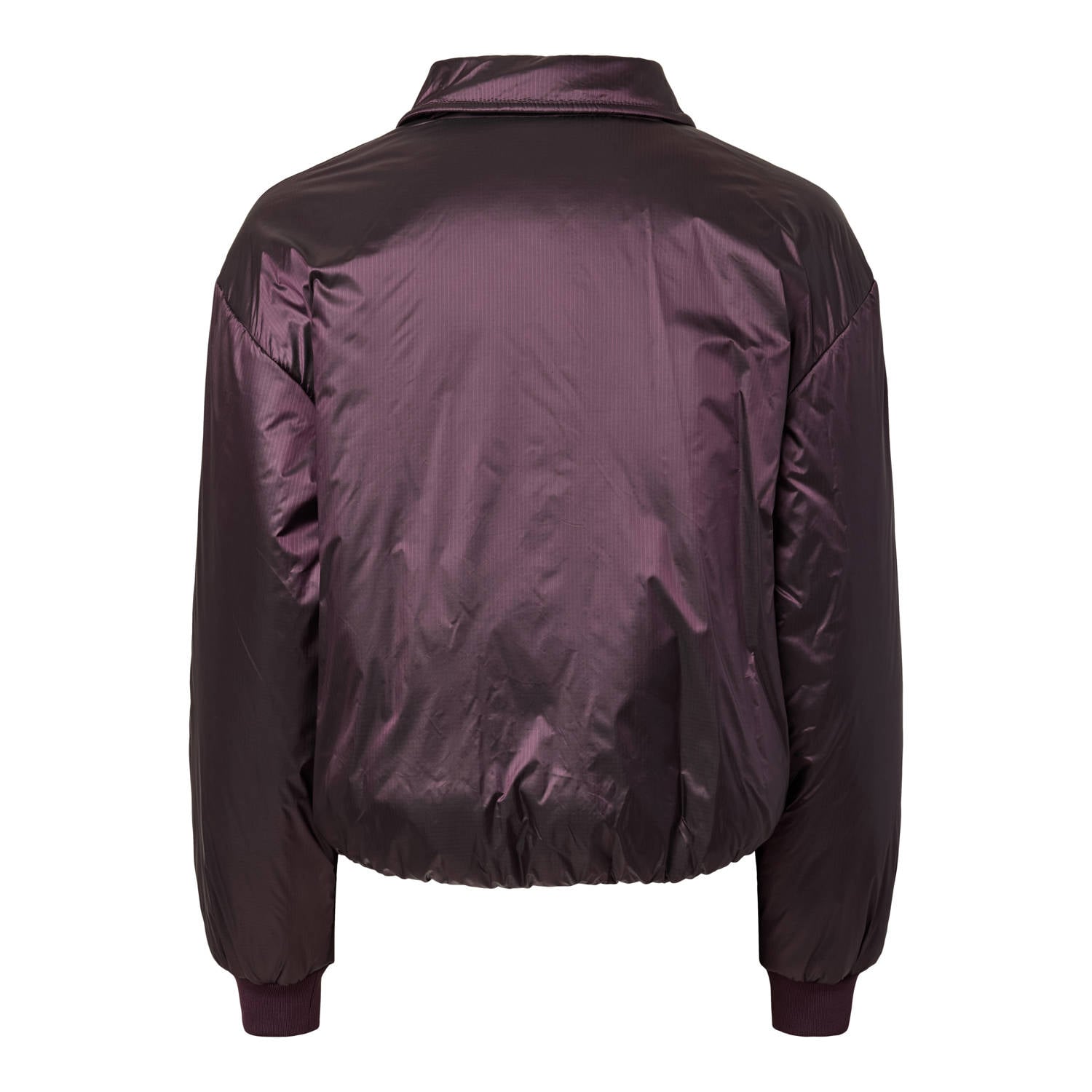 PIECES Curve Plus Size bomberjack donkerpaars
