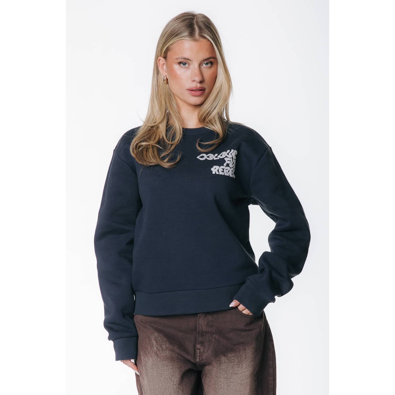 Colourful Rebel katoenen trui met logo donkerblauw
