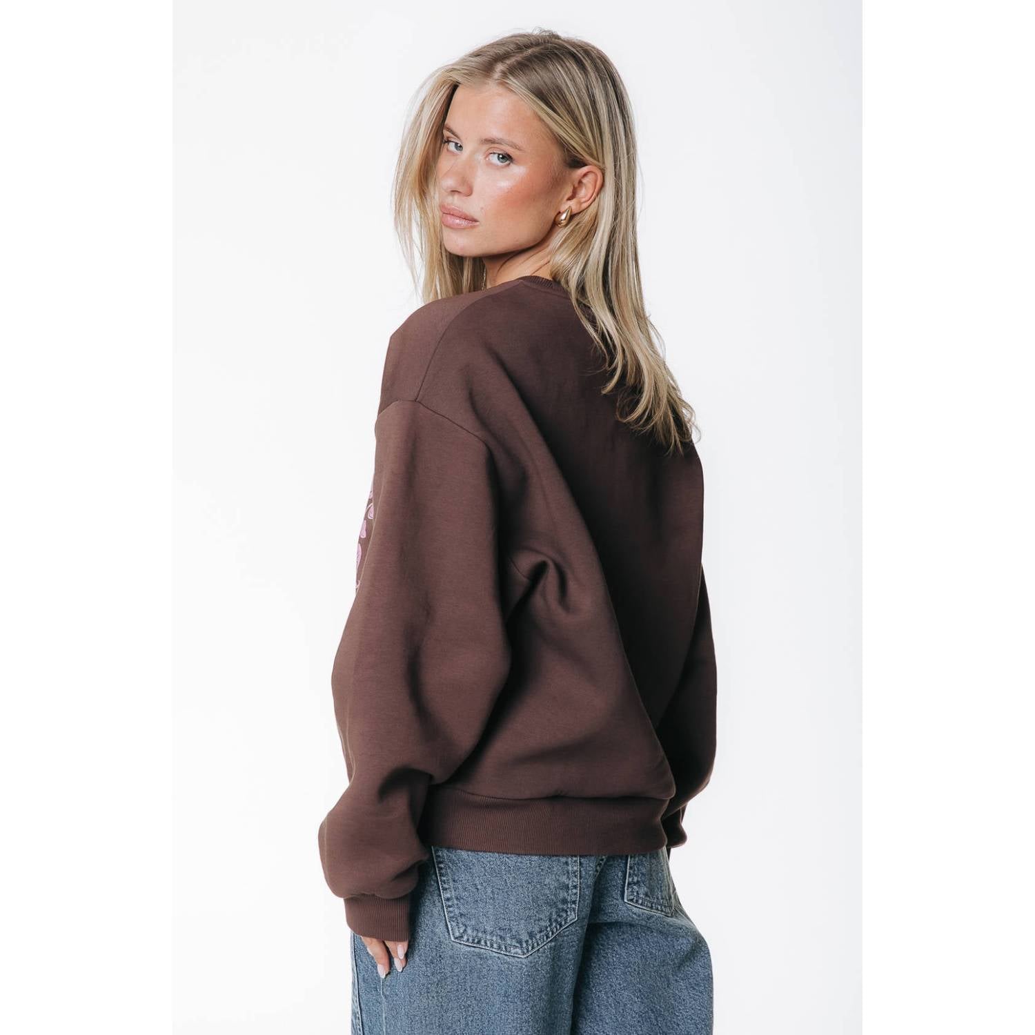 Colourful Rebel katoenen trui met print bruin