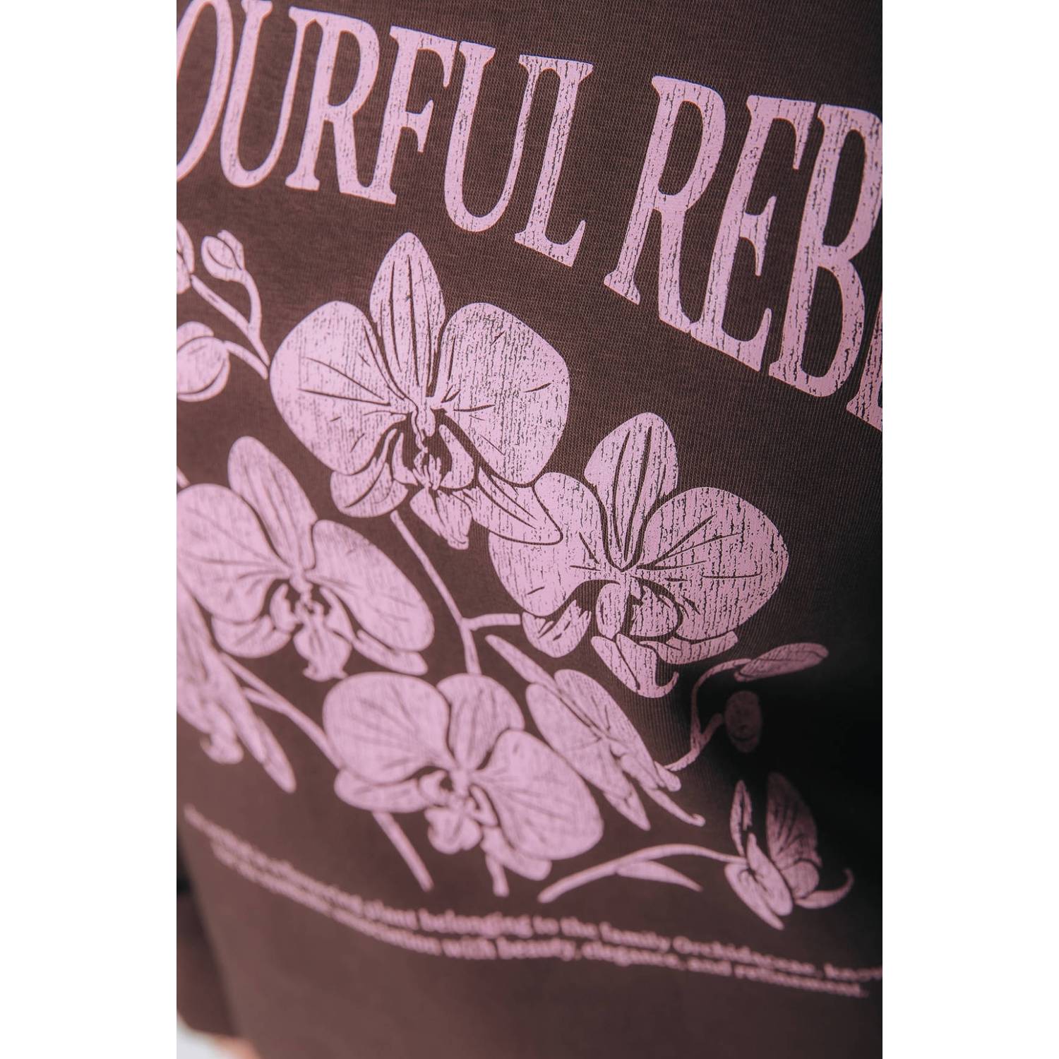 Colourful Rebel katoenen trui met print bruin