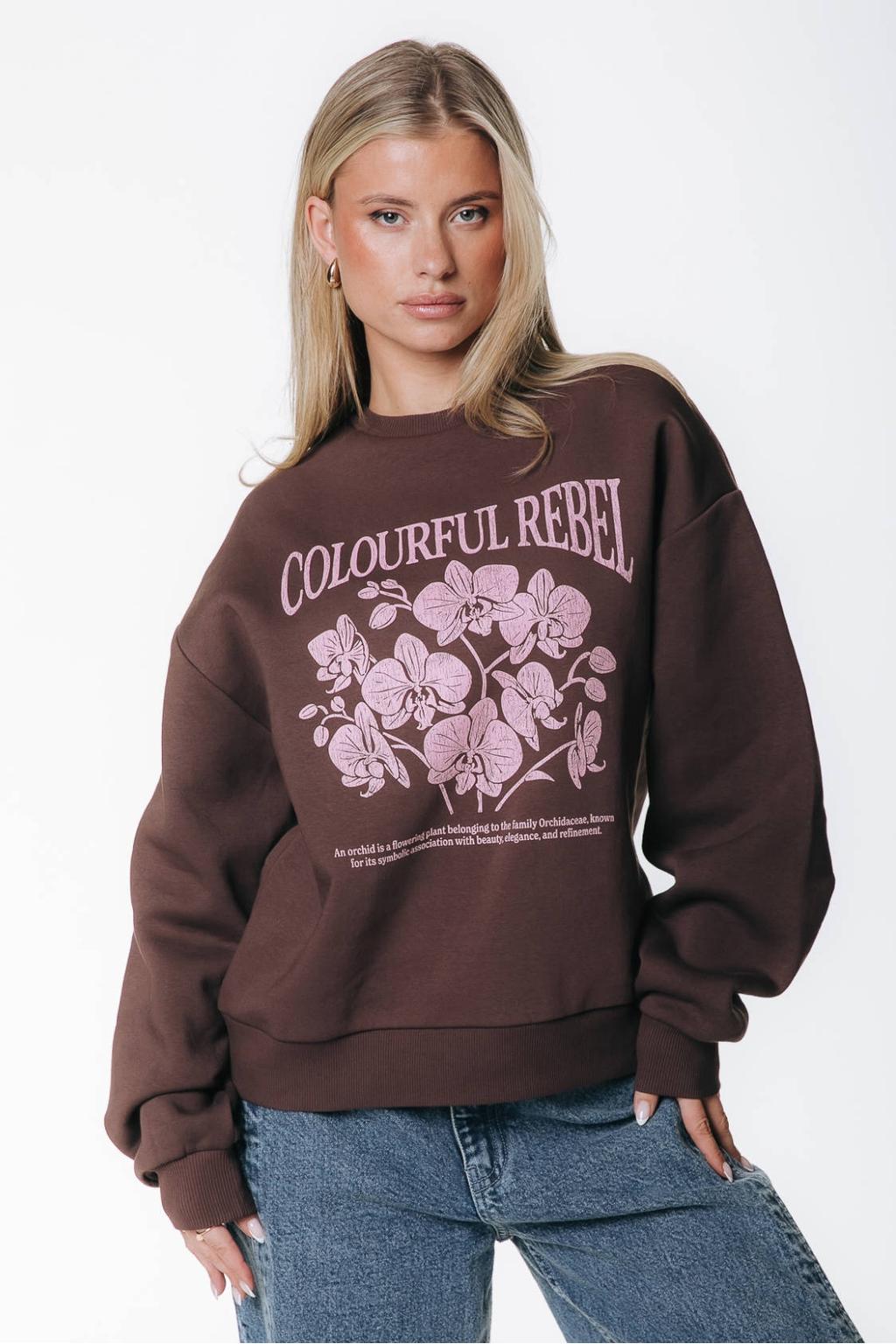 Colourful Rebel katoenen trui met print - bruin