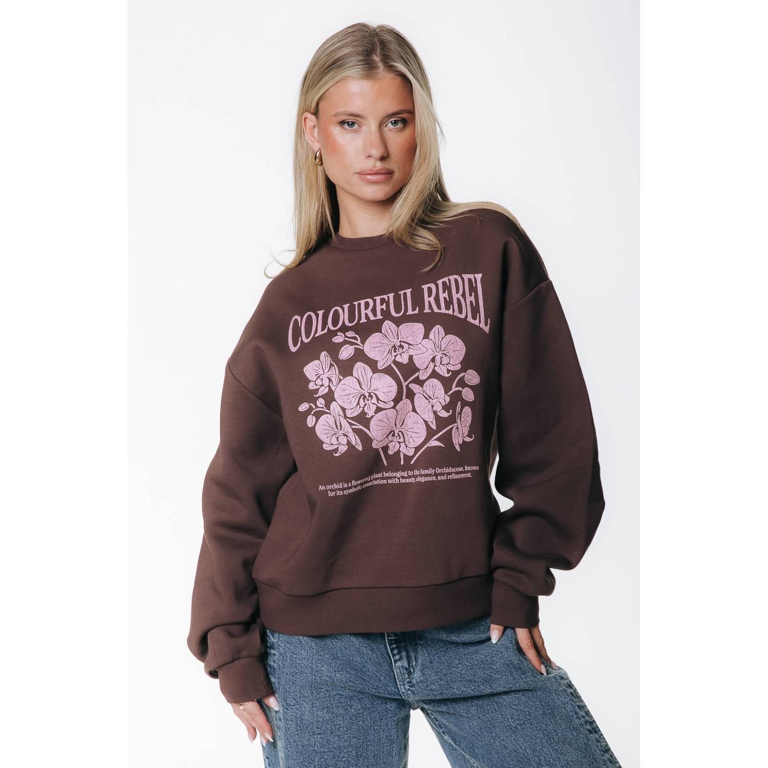 Colourful Rebel katoenen trui met print bruin