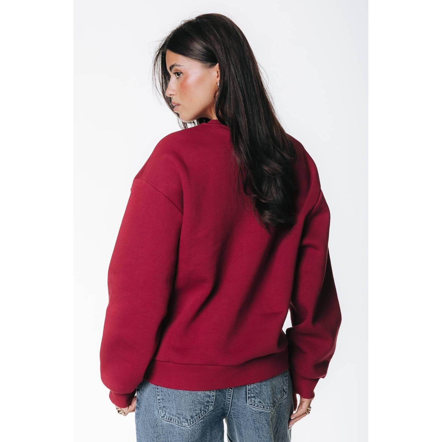 Colourful Rebel katoenen trui met print donkerrood