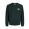 JACK & JONES PLUS SIZE regular fit trui met logo - donkergroen