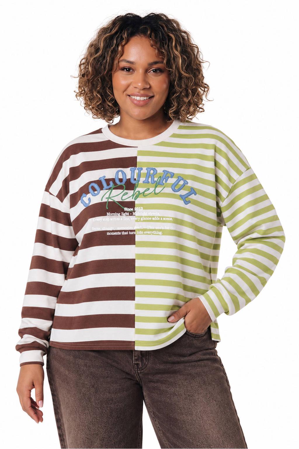 Multi, bruin en groene dames Colourful Rebel Curve Plus Size gestreepte top met lange mouwen