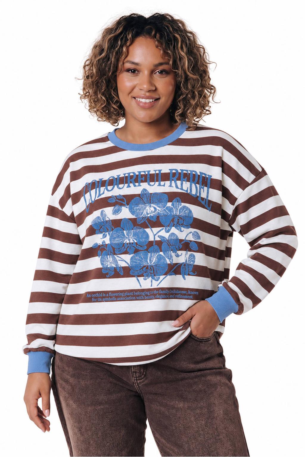 Bruin, wit en blauwe dames Colourful Rebel Curve Plus Size gestreepte top van polyester met lange mouwen en contrast bies