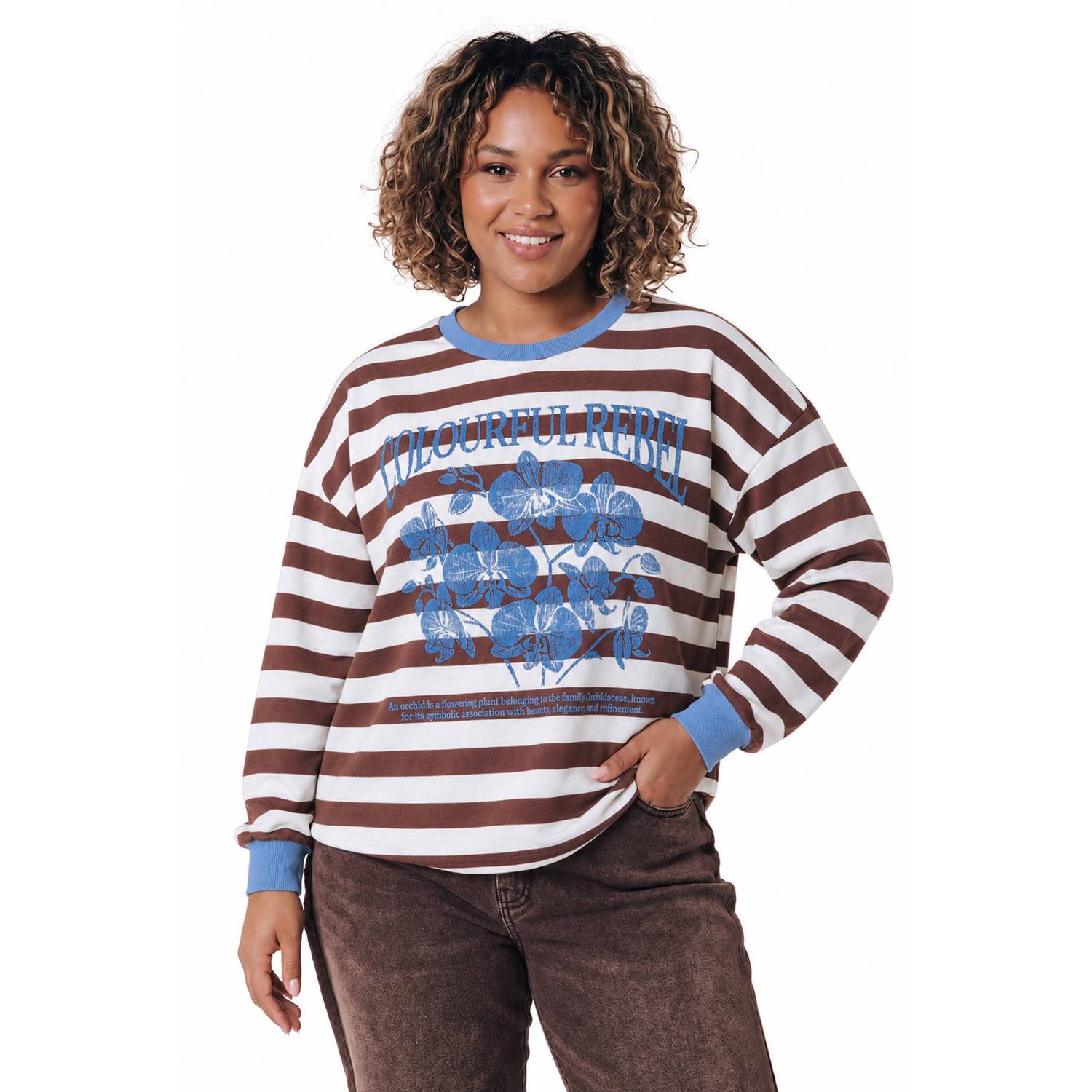 Colourful Rebel Curve Plus Size gestreepte top bruin wit blauw