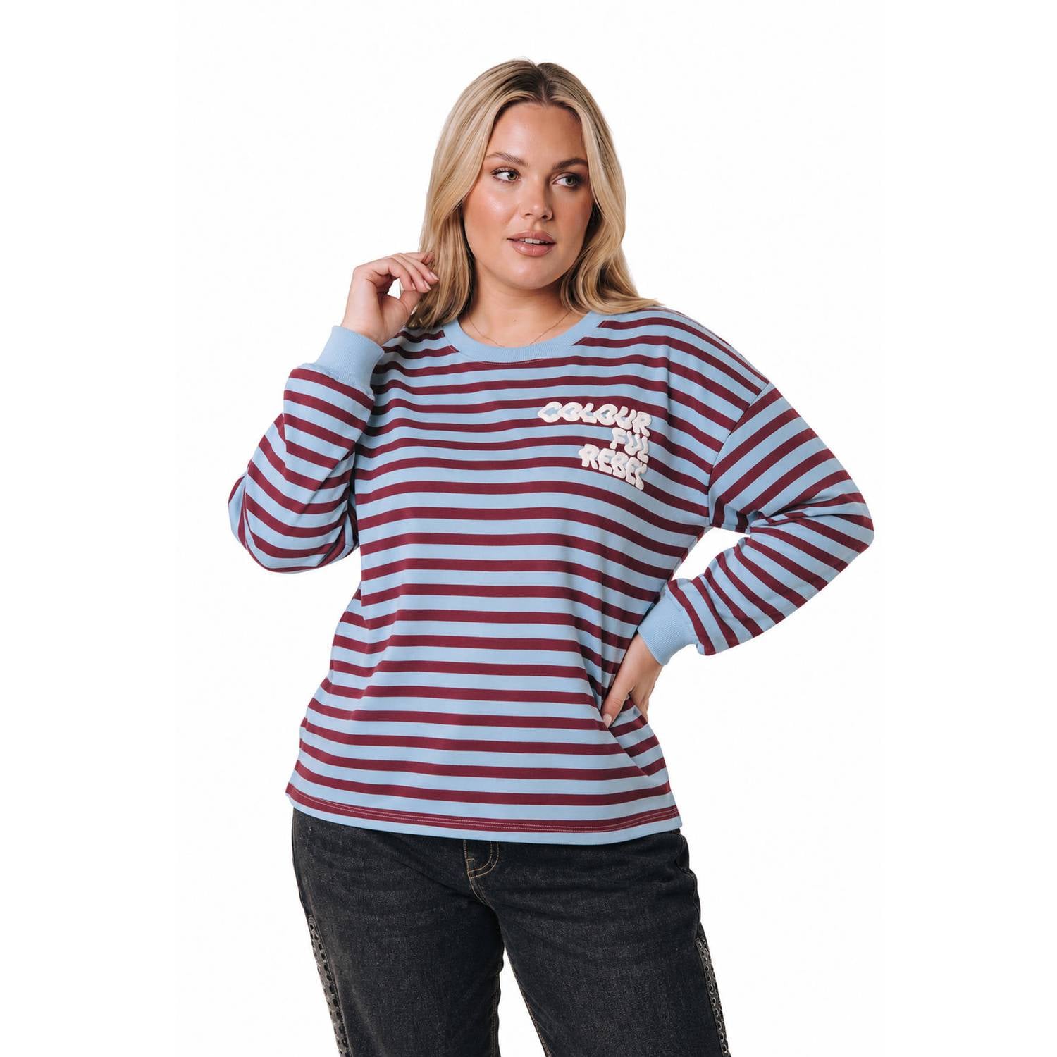 Colourful Rebel Curve Plus Size katoenen gestreepte sweater blauw