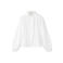 Mango Kids