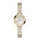 Fossil horloge ES5500 goudkleurig/zilverkleurig
