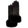Ted Baker handschoenen NEEVI zwart