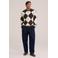 WE Fashion regular fit gebreide geruite trui - bruin