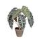 Mica Decorations kunstplant Alocasia