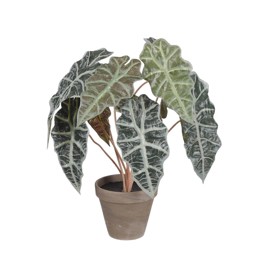 Mica Decorations kunstplant Alocasia