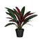 Mica Decorations kunstplant Calathea