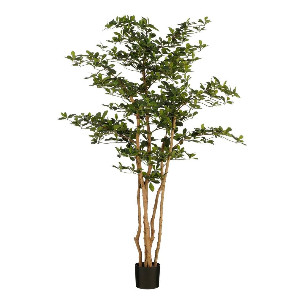 Mica Decorations kunstplant Oriental olijf