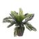 Mica Decorations kunstplant Cyas