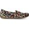 Stefano Lauran Mocassins 11634 Beige