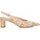 Notre-V Hakken 77260 Multi