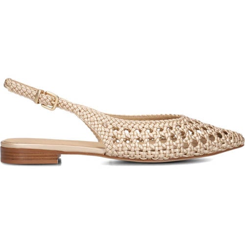 Stefano Lauran Hakken St2546 Goudkleurig