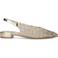 Notre-V Hakken D250533218 Goudkleurig