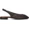 Blasz Hakken 15593-04 Bruin