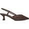 Stefano Lauran Hakken Pe2601 Bruin