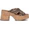 Notre-V Hakken 989001 Bruin