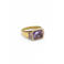 Notre-V Sieraden Omfw22-016 Goudkleurig - One size