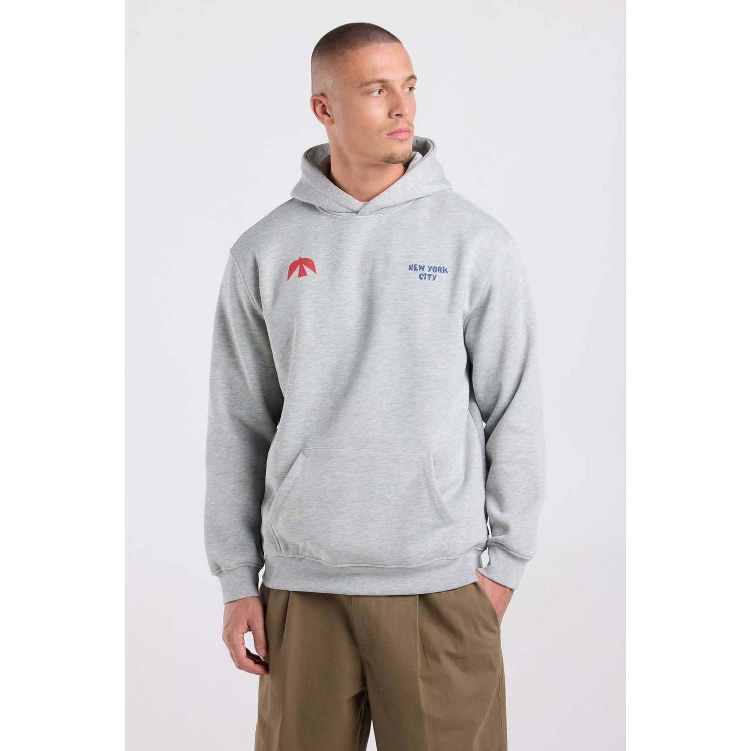 America Today relaxed fit hoodie met backprint light grey