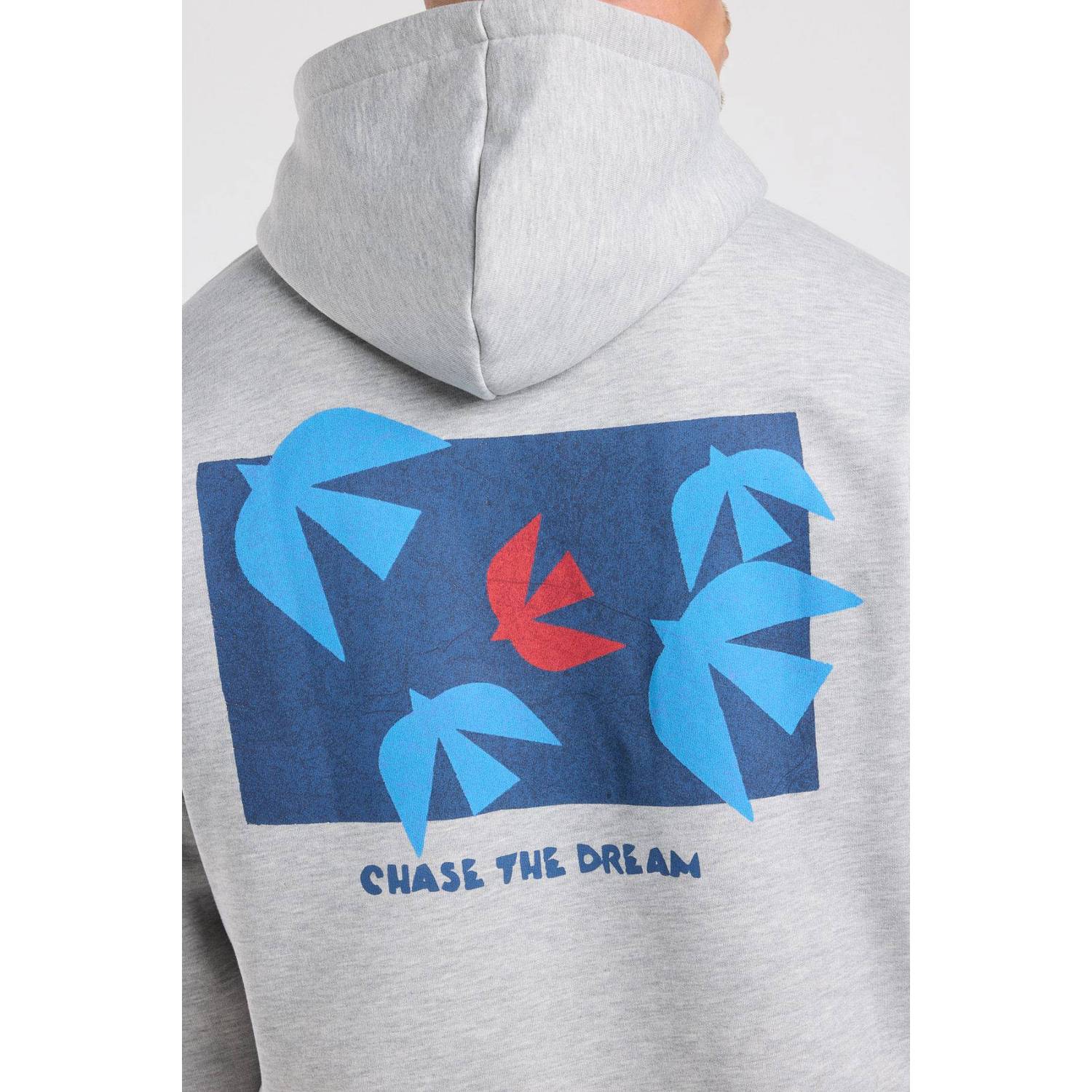 America Today relaxed fit hoodie met backprint light grey